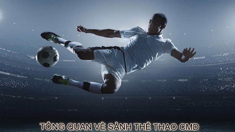 Tổng quan một vài thông tin cơ bản về sân chơi thể thao CMD