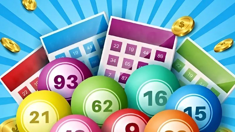 Hướng dẫn cách nuôi đề ngắn hạn dài hạn