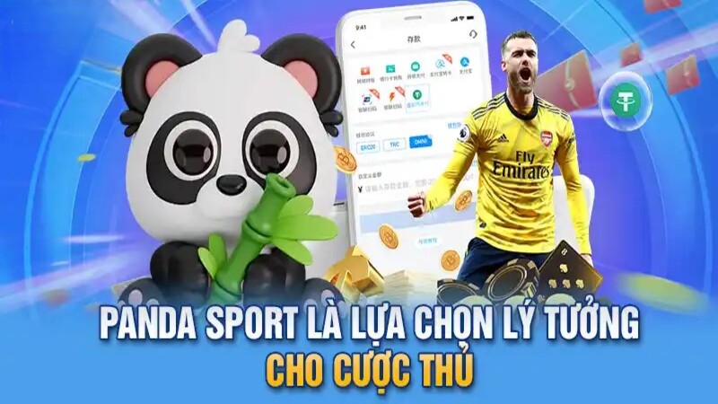 Trải nghiệm sân chơi đáng tin cậy Panda Sports